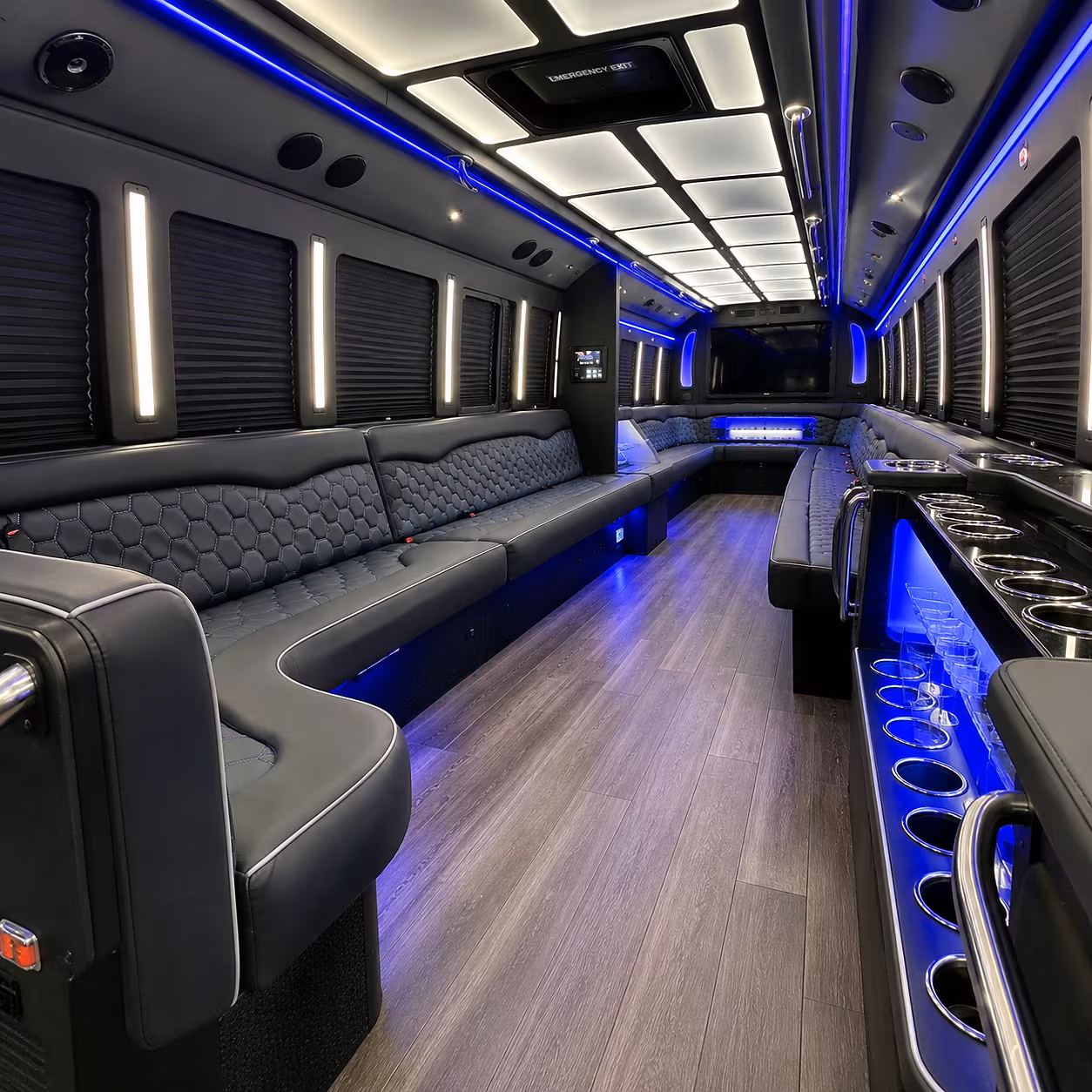 birthday party bus rental