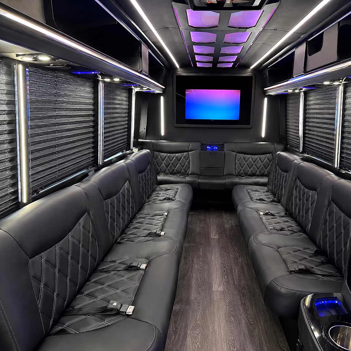 lehi party bus inside